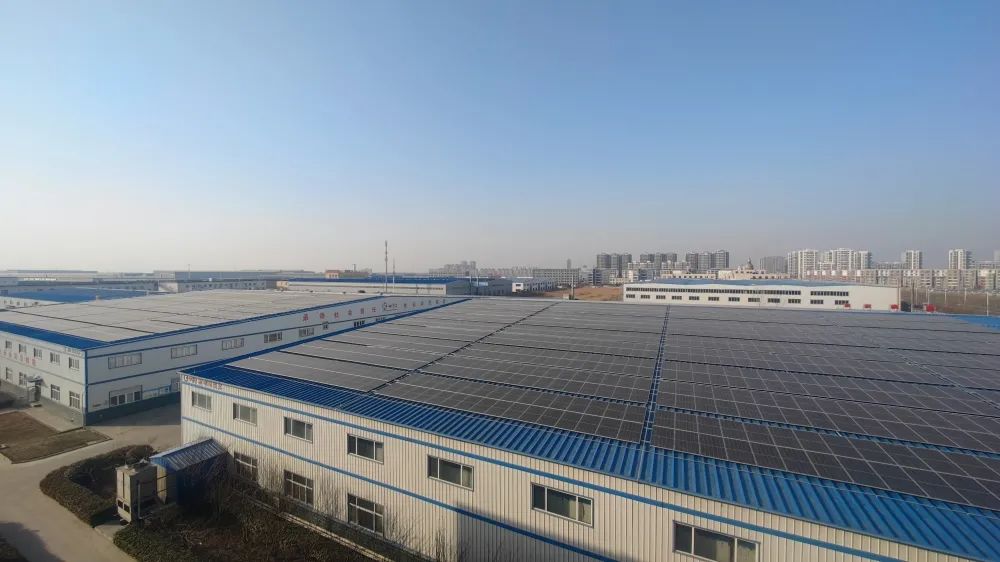 1708741840241825.jpg 2.jpg