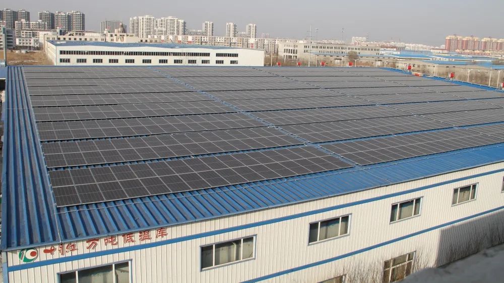 1708741886637424.jpg 4.jpg