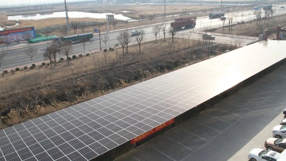 1708741895678145.jpg 5.jpg