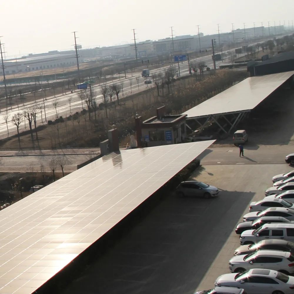 1708741950759936.jpg 7.jpg