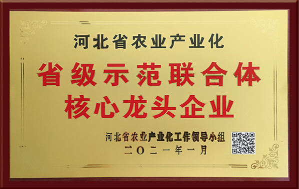 省級示聯(lián)合體核心龍頭企業(yè)