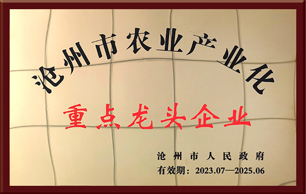 重點龍頭企業(yè)